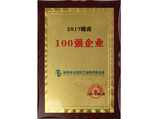 2017湖南100強企業(yè)