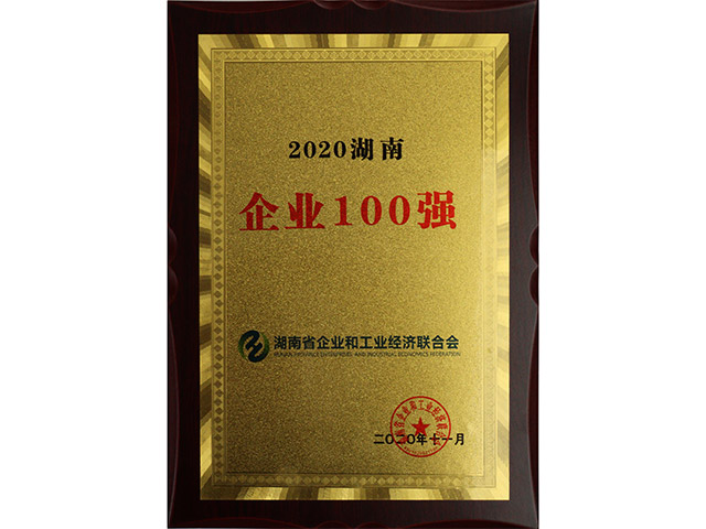 2020湖南企業(yè)100強