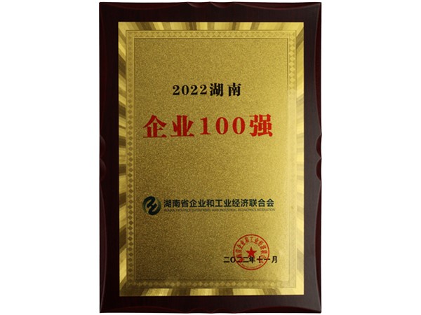 2022湖南企業(yè)100強